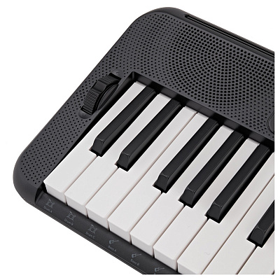 Синтезатор с автоаккомпанементом Casio CT-S300